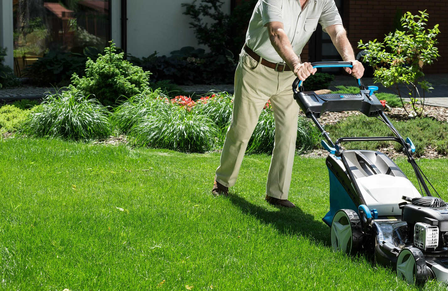 lawn maintenance expert