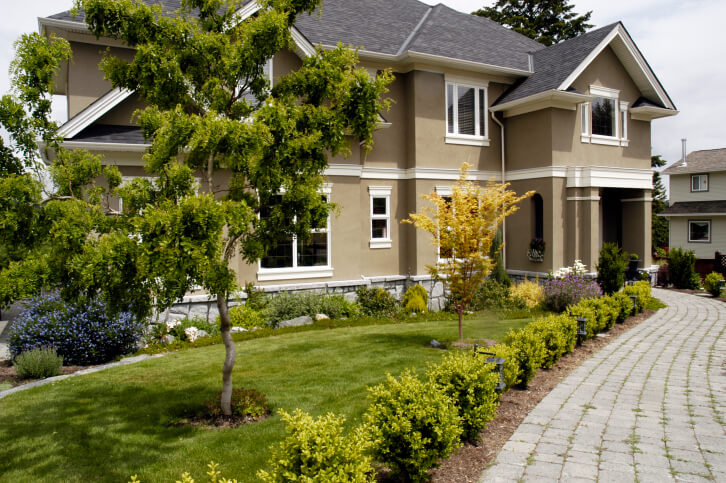house landscape